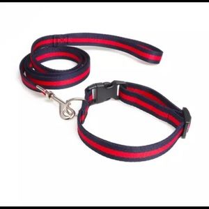 STYLISH PET COLLAR & LEASH SET